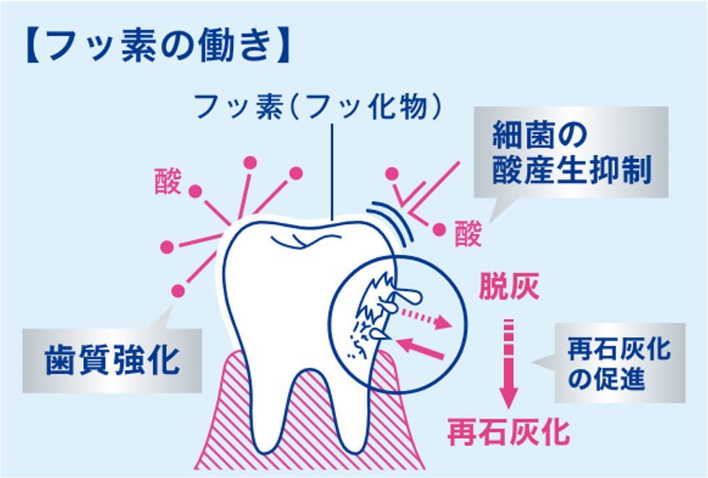 審美歯科